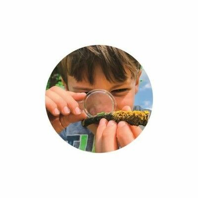 Jeu en bois Clementoni